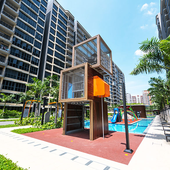 100palm_024.jpg