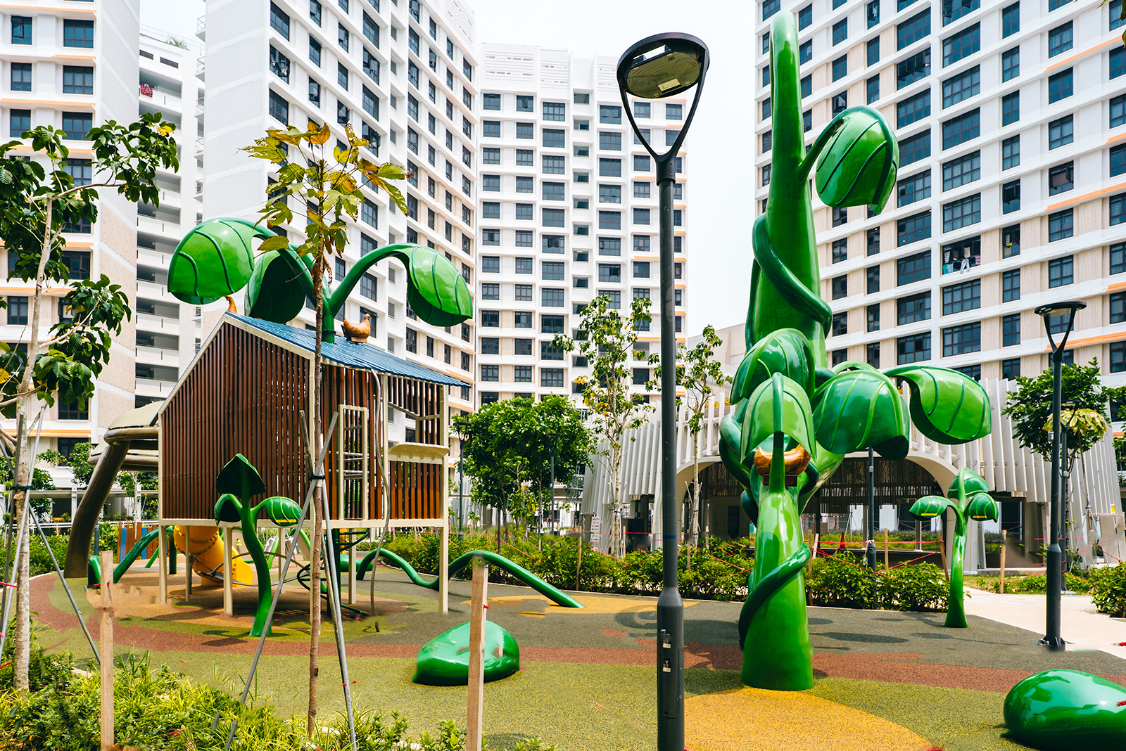 Beanstalk_Full12.jpg