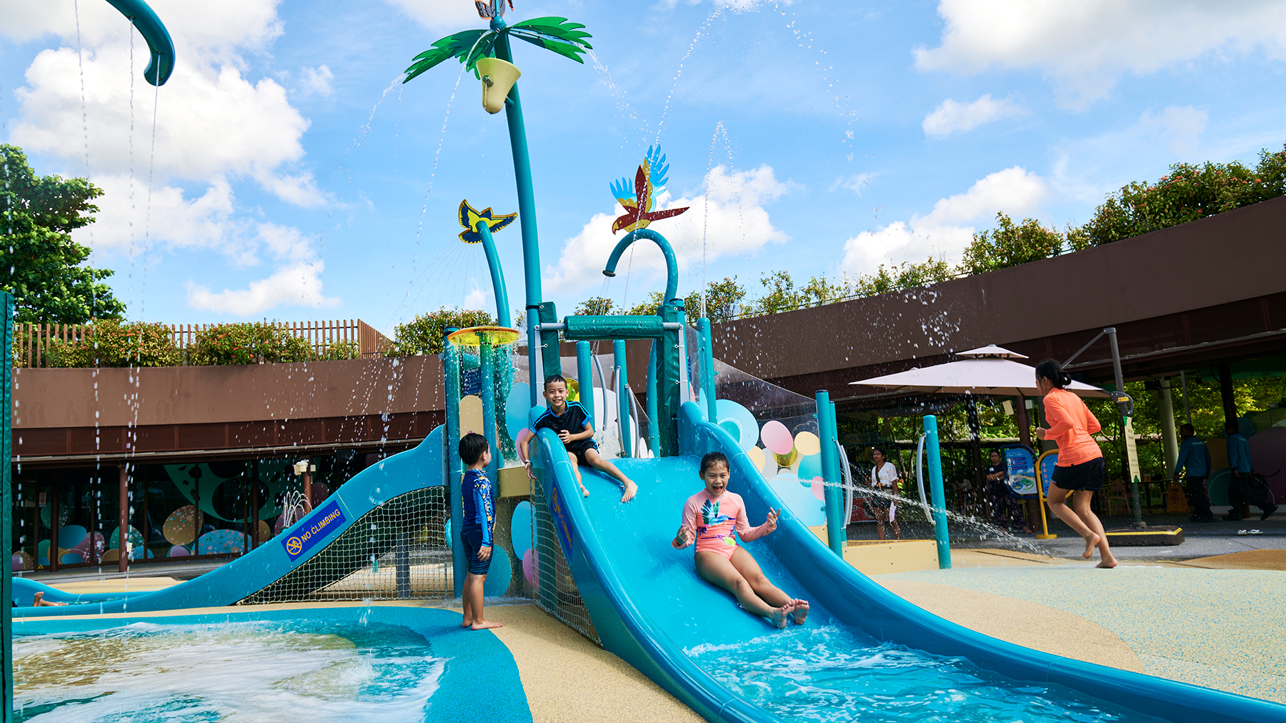 Mandai_BirdSplash_Feat01.jpg