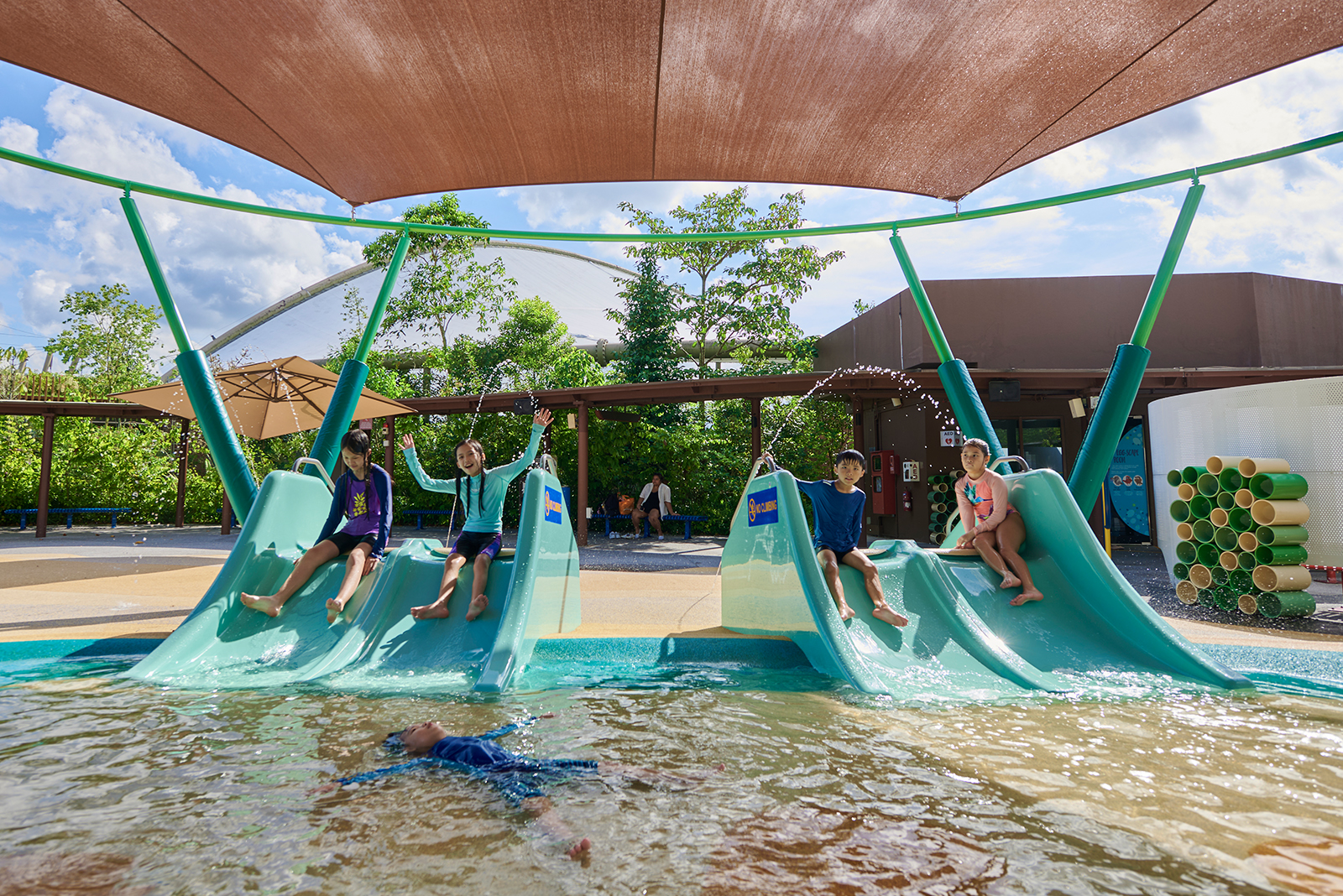 Mandai_BirdSplash_Full08.jpg